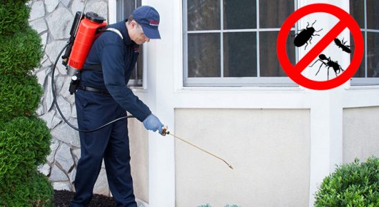 Aydıntepe Dezenfeksiyon böcek ilaçlama ve haşere kontrolü — ilaclama-tr.com